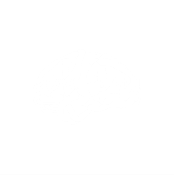 CogniBion céges logo